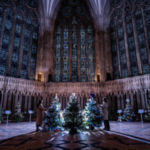 york minster trees 2024