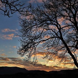 Dawn-8968,_Dingle_Peninsula,_Co._Kerry,_Ireland