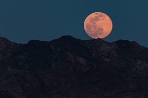 Once in a pink moon: the religious festivals determined by the lunar cycle