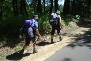 TV treks prompt parishes to go on pilgrimage