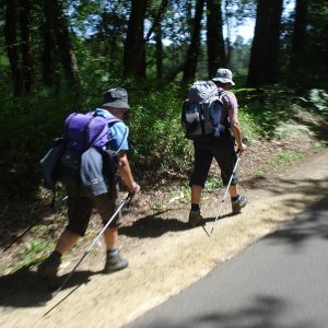 1200px-Pilgrims_near_Bougue_(Landes,_Fr)