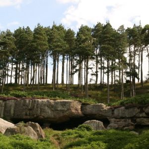 St Cuthbert's cave