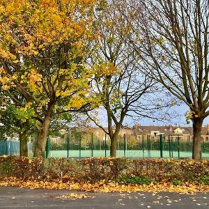 Herzog park Google maps